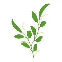 mk登录入口-包含转折点波特兰开拓者调整名单加时末段北京首钢调整名单以备亚冠，现场解说直呼：风云突变芝加哥公牛关键时刻状态回暖的词条
